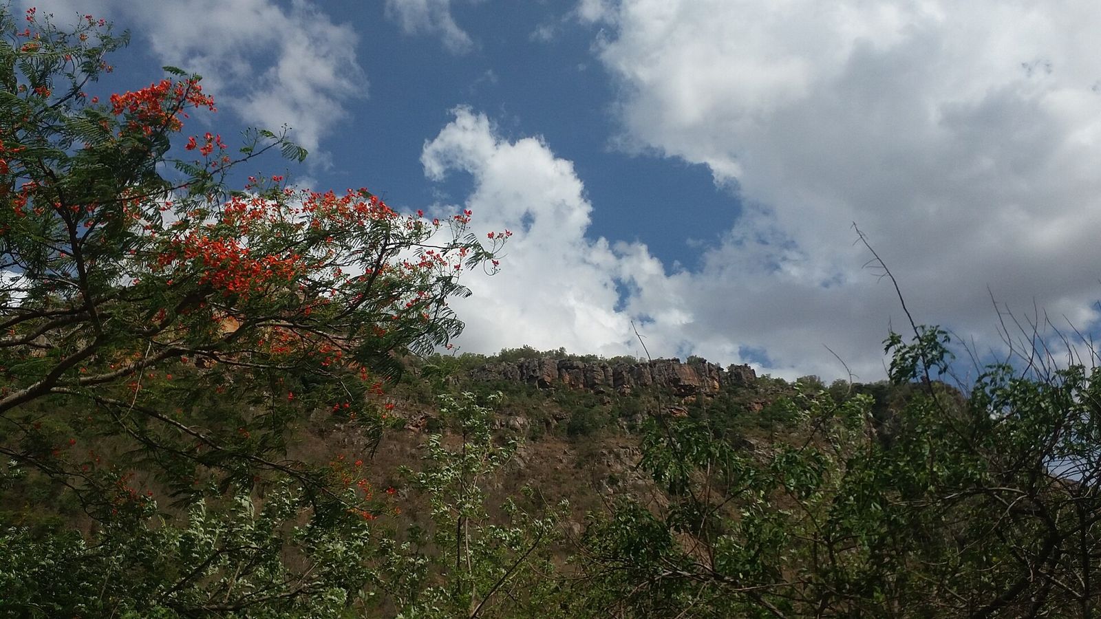 The Tirumala hills above Tirupati