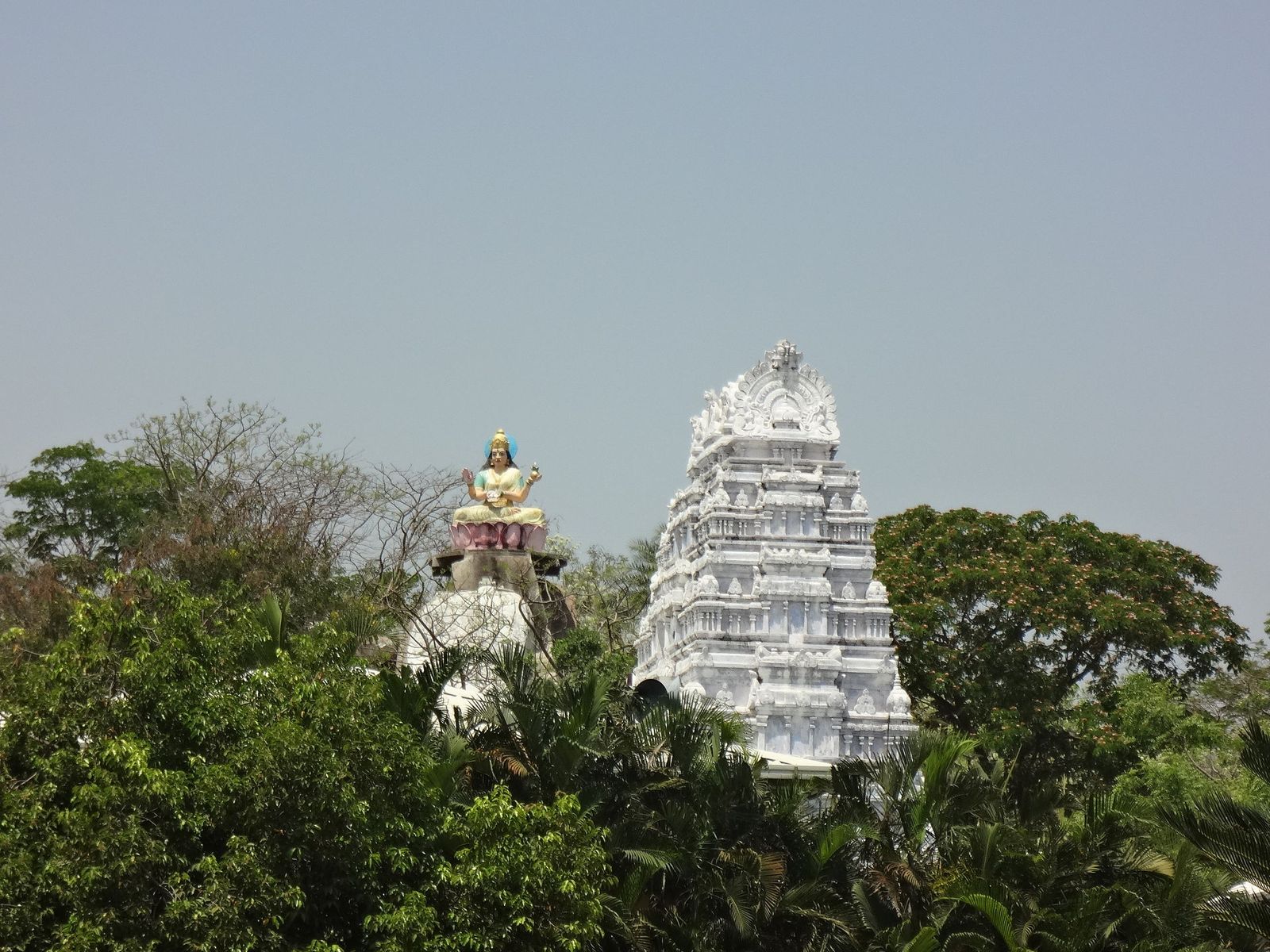 The Gnana Saraswati temple at Basara